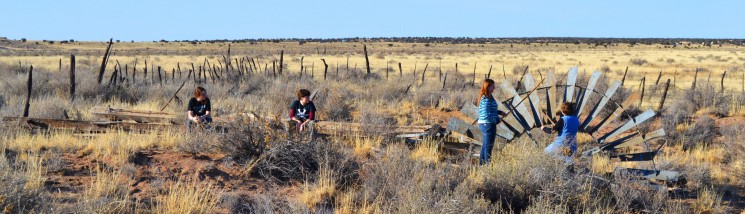 February at the Ranch IV – Saturday Afternoon Hike