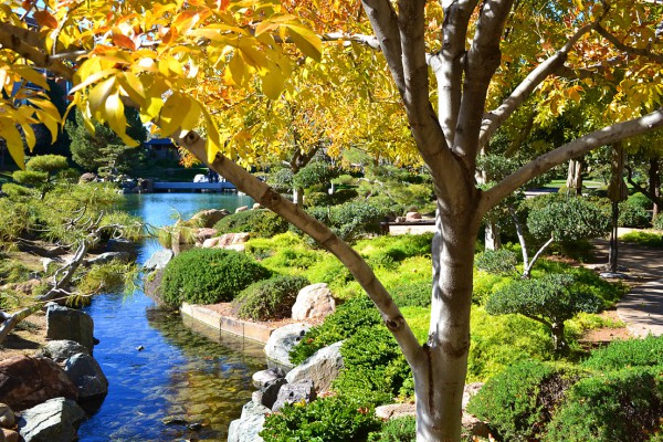 Japanese Friendship Garden