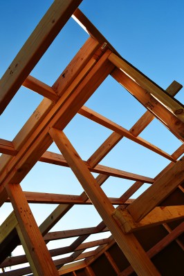 The New Shed – Part Two
