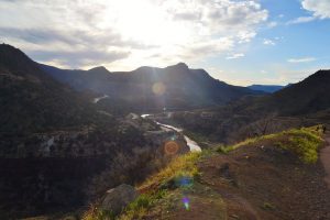 Springtime in AZ! (pt.1)