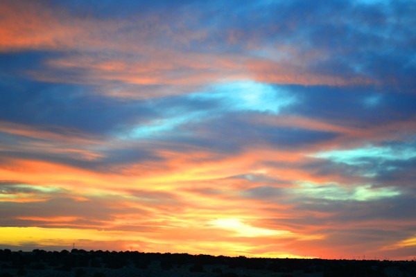 Springtime in AZ! (pt.7)