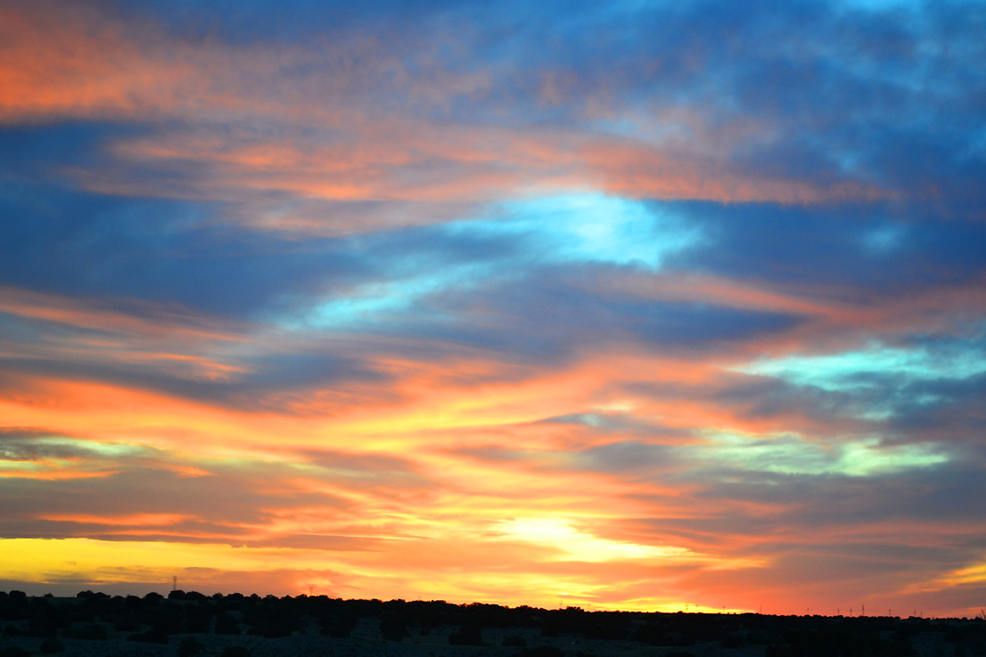 Springtime in AZ! (pt.7)