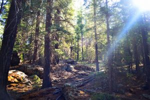 May Ranch Retreat – White Mountain Hike