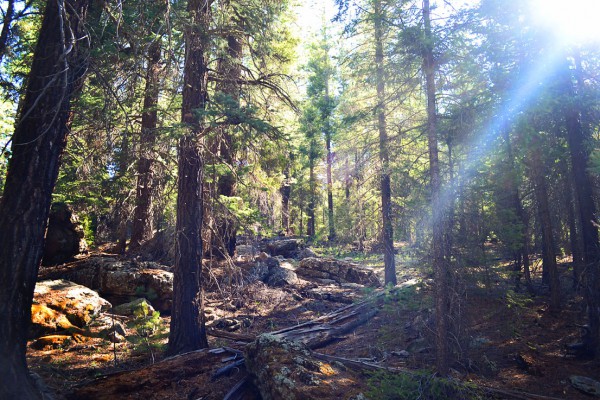 May Ranch Retreat – White Mountain Hike