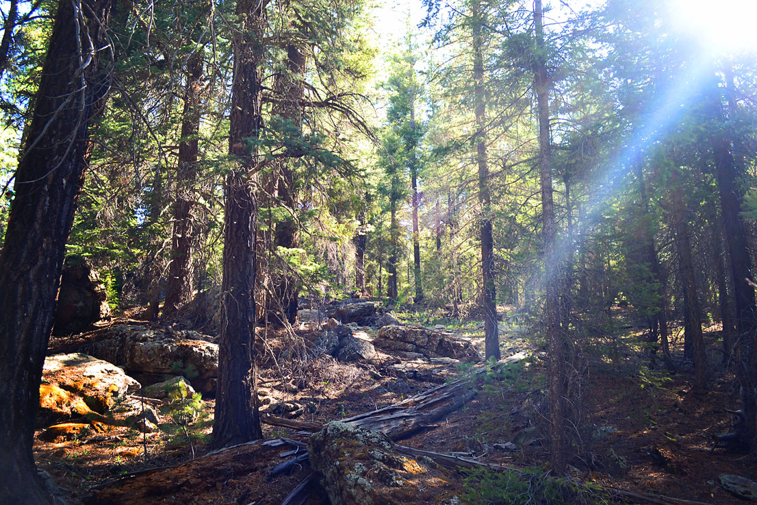 May Ranch Retreat – White Mountain Hike