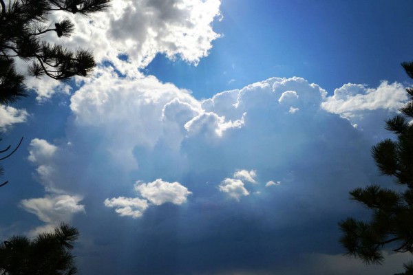 “Cloudscape”