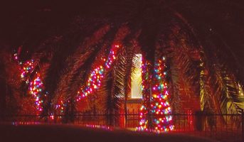 Christmas Lights
