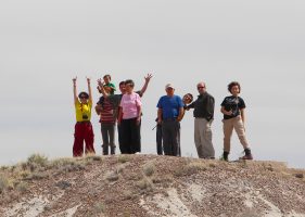 Sight-seeing: Petrified Forest