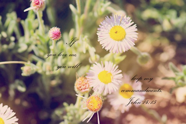 “If you love me, you will keep my commandments.”