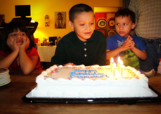 A Multiplicity of Celebrations