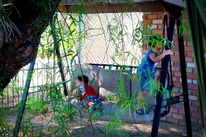 Boys on a Swing