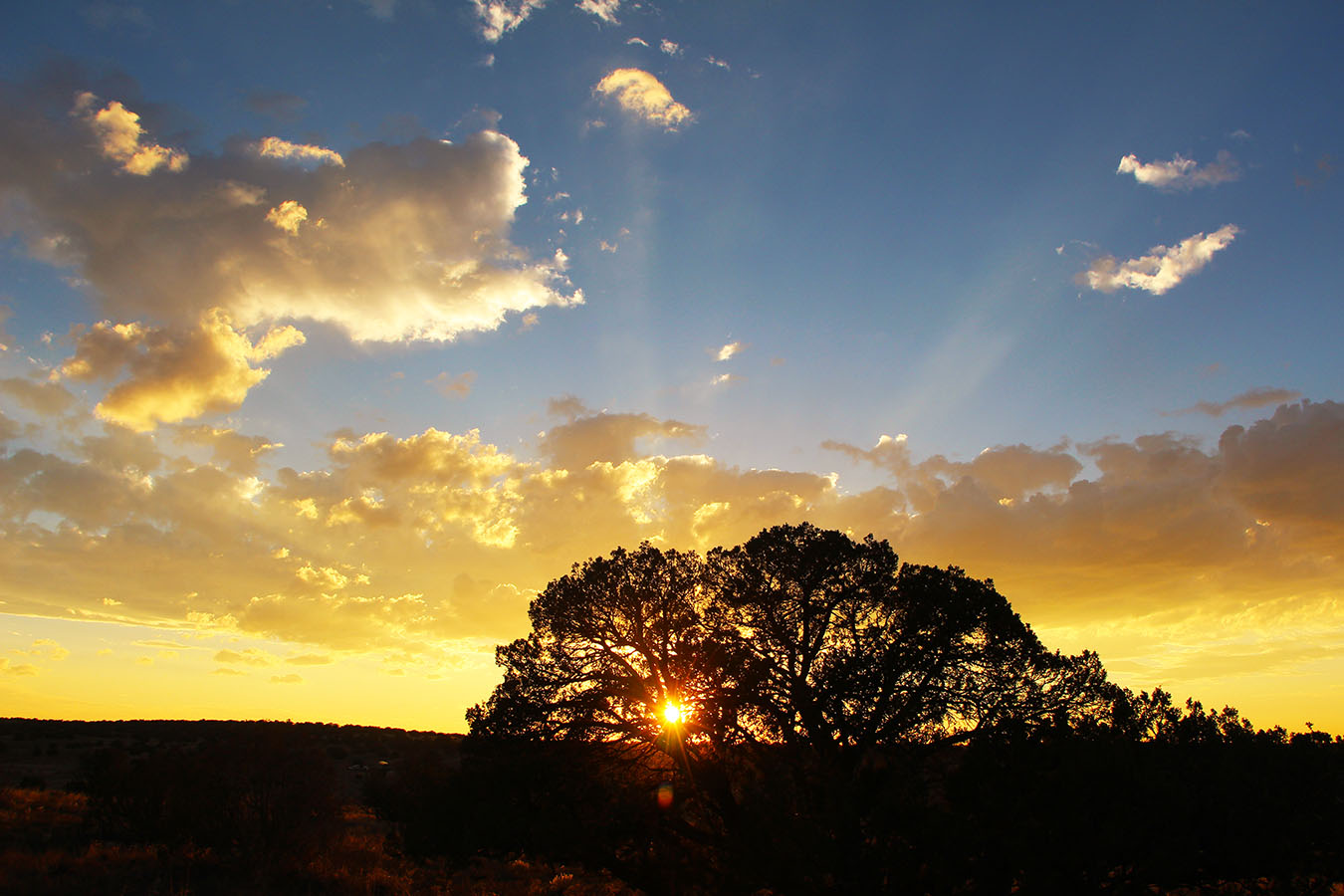 October at the Ranch 2014 — Part 3