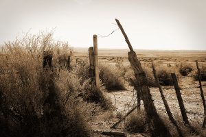 Thanksgiving at the Ranch – 2014 (Mega-Photo Post!)
