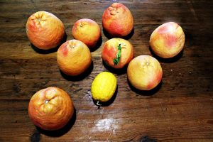 Citrus