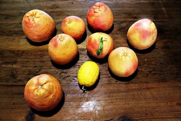 Citrus