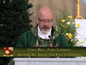 Homily for June 14, 2015