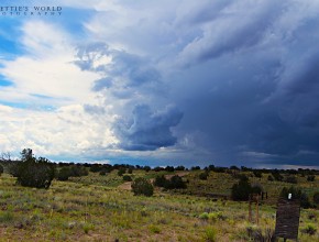 4th of July Weekend – Saturday Around the Ranch