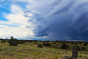 4th of July Weekend – Saturday Around the Ranch