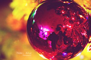 Decorating for Christmas! 6/8