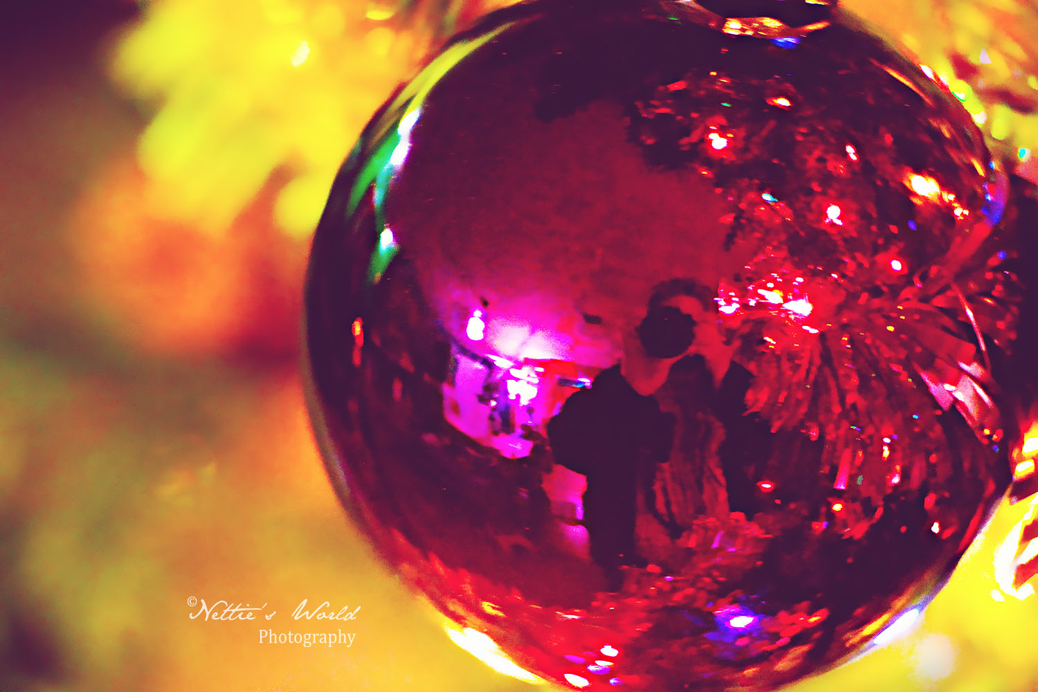 Decorating for Christmas! 6/8