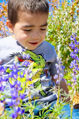 Wildflowers