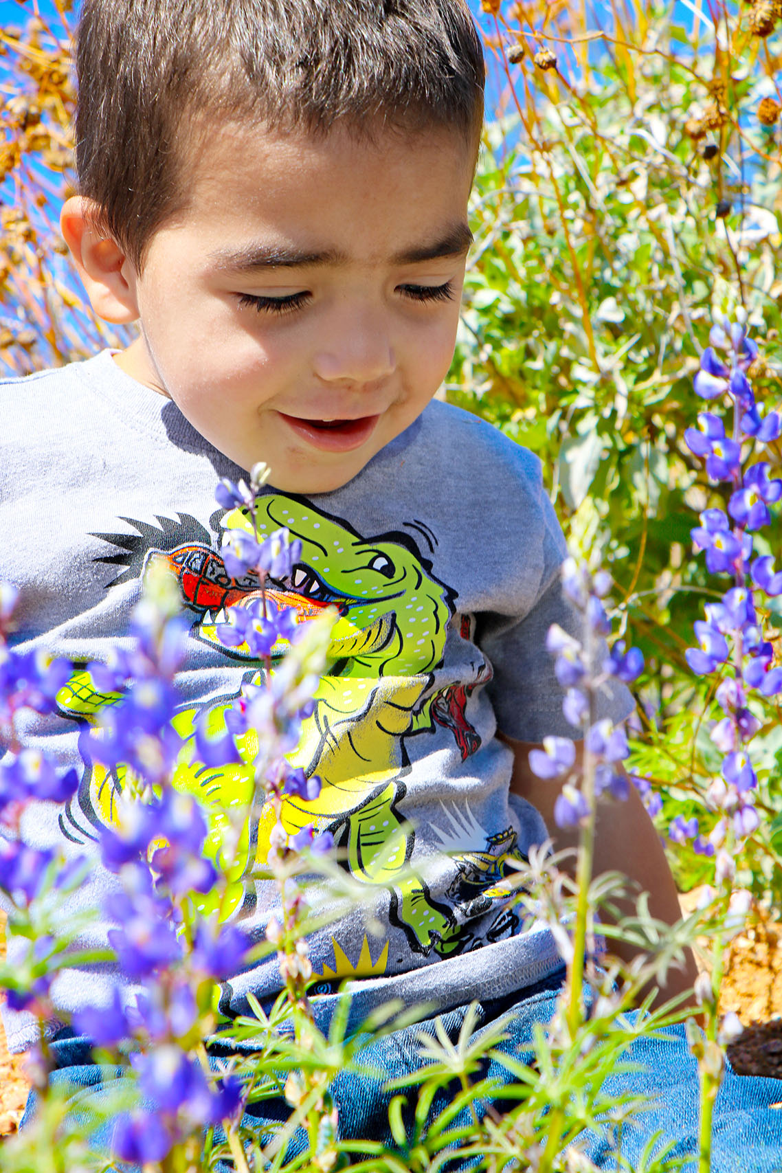 Wildflowers