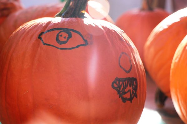 Pumpkin Time