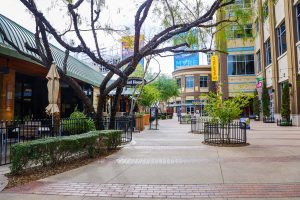 A New Routine and a Walkabout Westgate