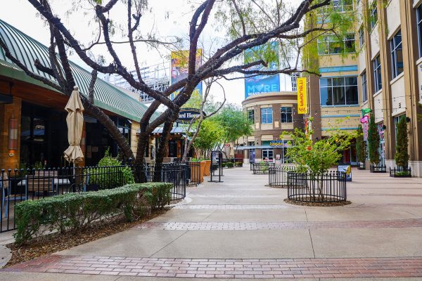 A New Routine and a Walkabout Westgate