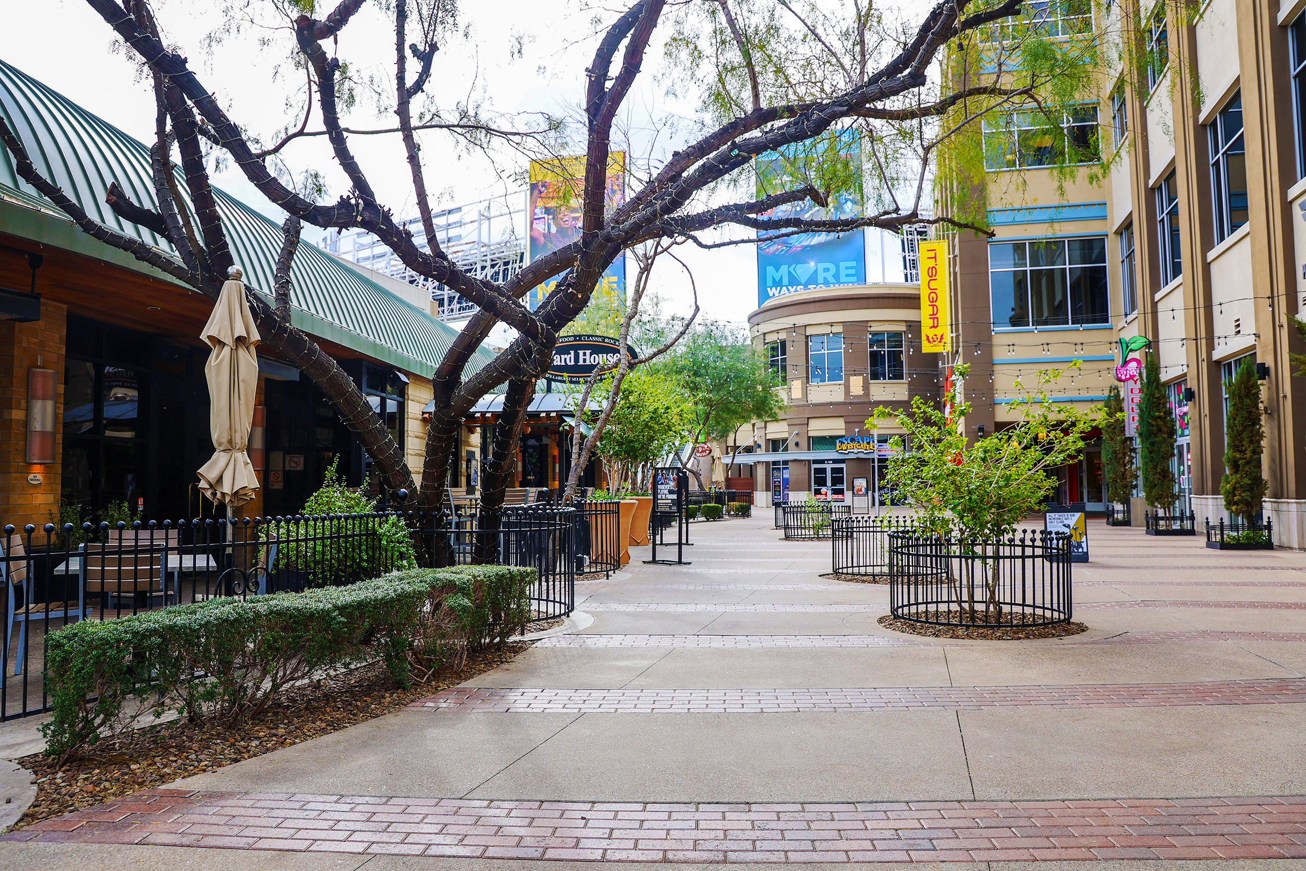 A New Routine and a Walkabout Westgate