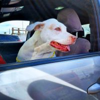 RIP Gwinny: ? – 06/01/23